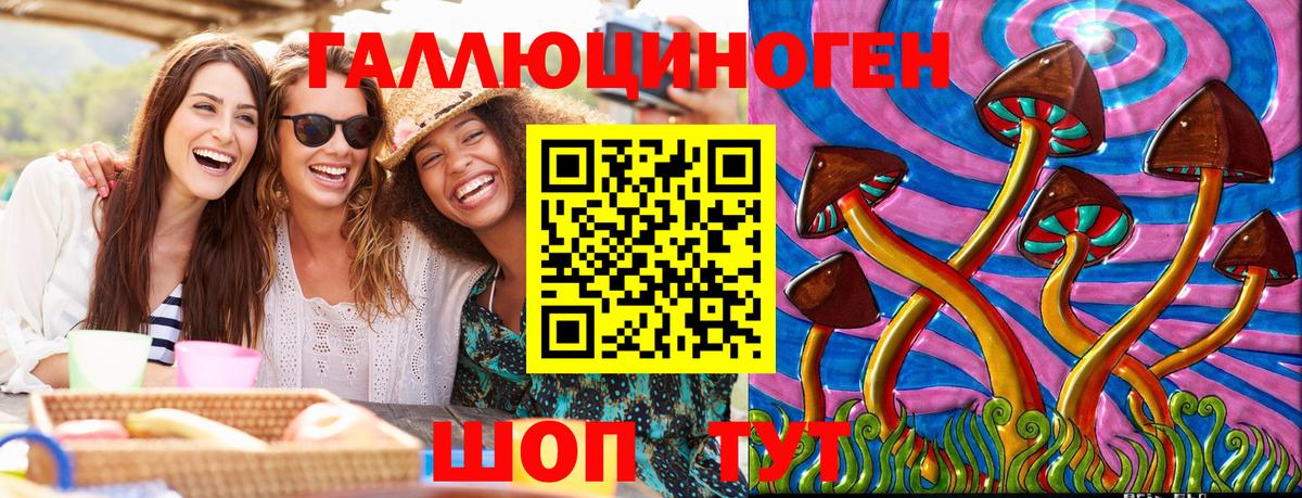 Псилоцибиновые грибы Psilocybine cubensis  Вход с VPN  Звенигород 